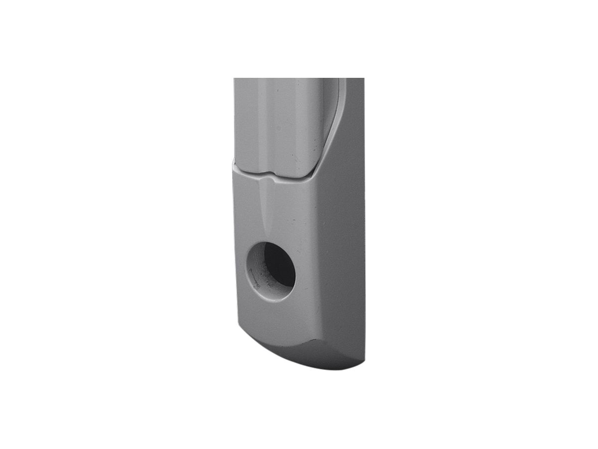 Griff Rittal TS 8611.020 comfort für TS/TS IT/SE/PC/IW für Verschluss grau