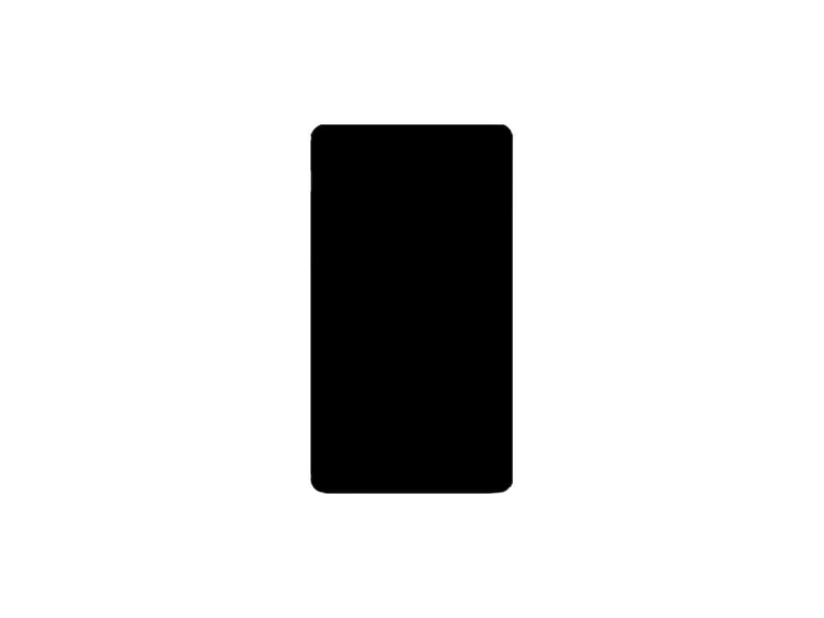 Abdeckplatte 4×2 ohne Bohrung schwarz