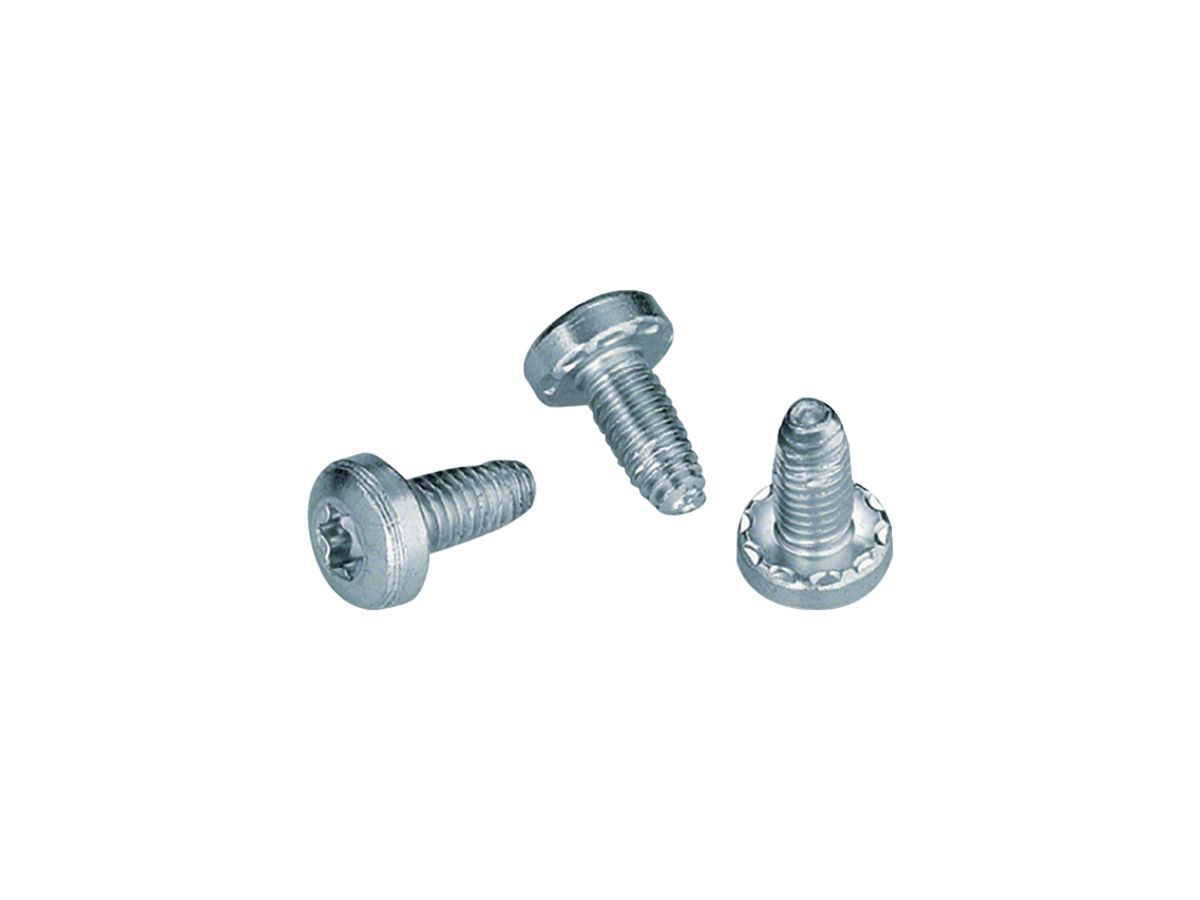 Schraube Hager FZ413XE gewindeformend T30 M6×13 50 Stk