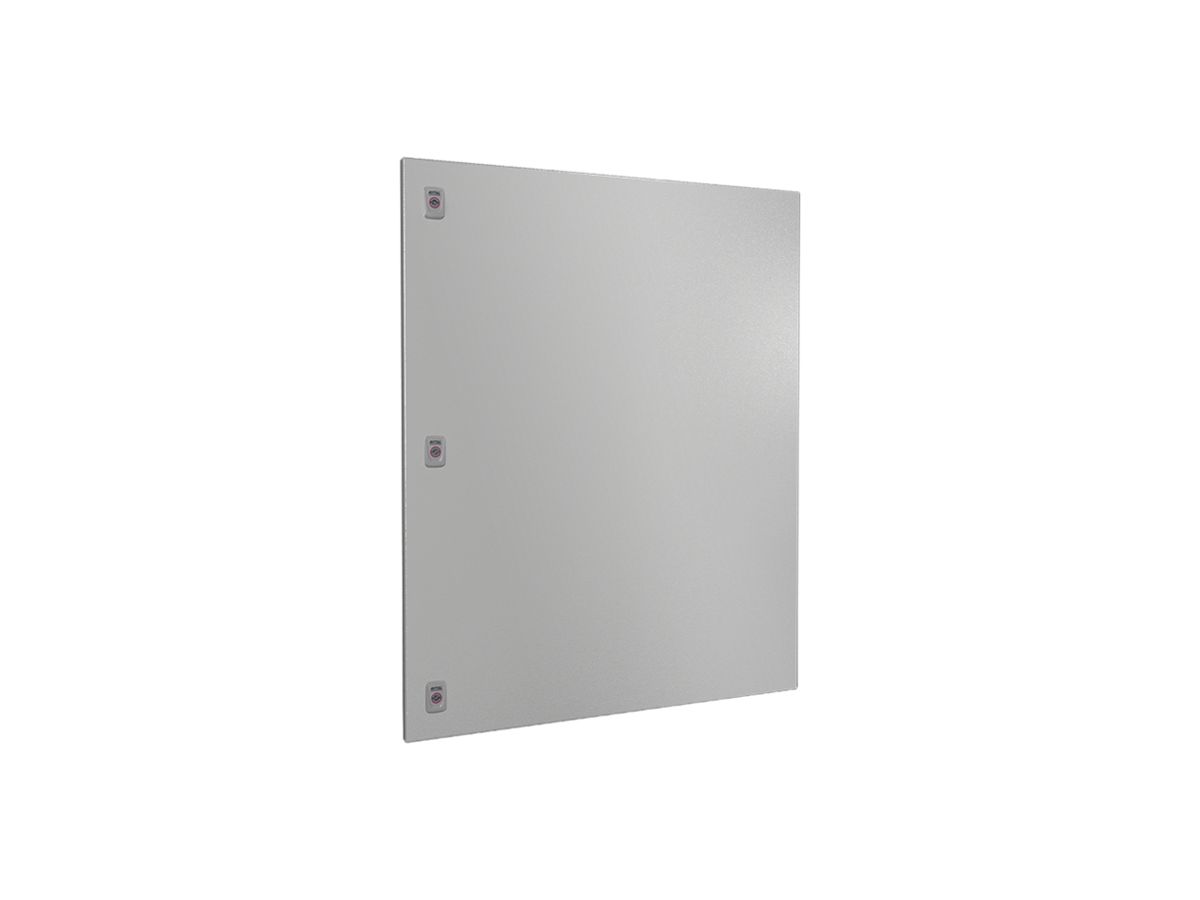 Tür Rittal SV 9682.180 800×1000mm für VX grau IP54