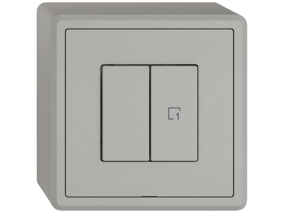 AP-Druckschalter EDIZIO.liv Wiser SNAPFIX® 1 Kanal 1 Szene 2 Tasten hgu