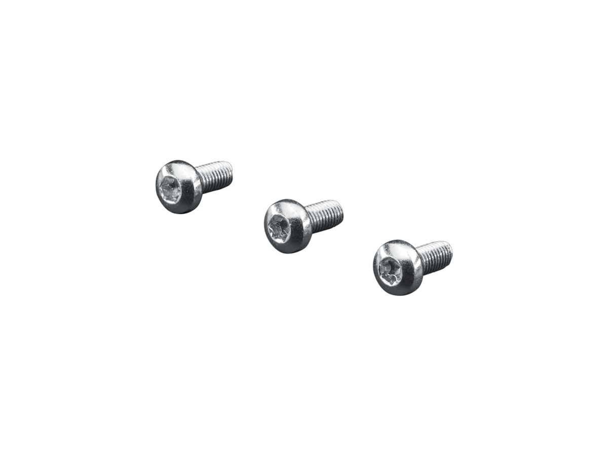 Schraube Rittal SZ 2489.500 12mm TX M5 Linsenkopf 500Stk
