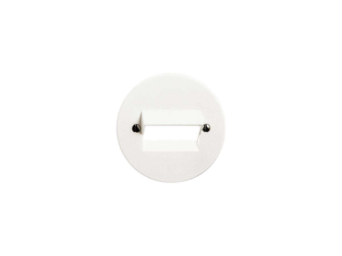 Frontscheibe FH 2×RJ45 weiss ITplus 58mm