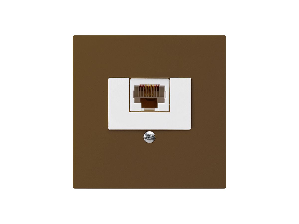 UP-Dose kallysto 1×RJ45u braun