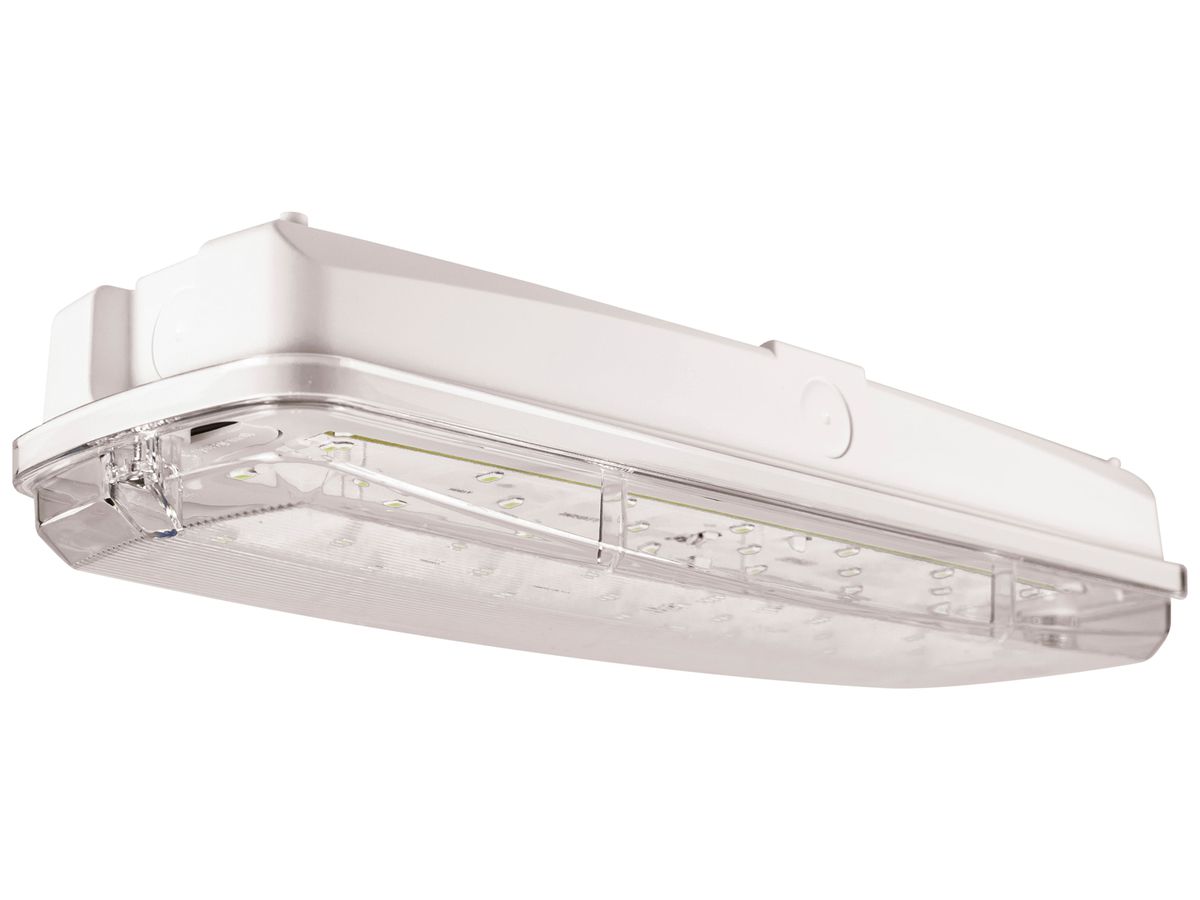 LED-Rettungszeichenleuchte DOTLUX EXIT IP65 Wand 350lm