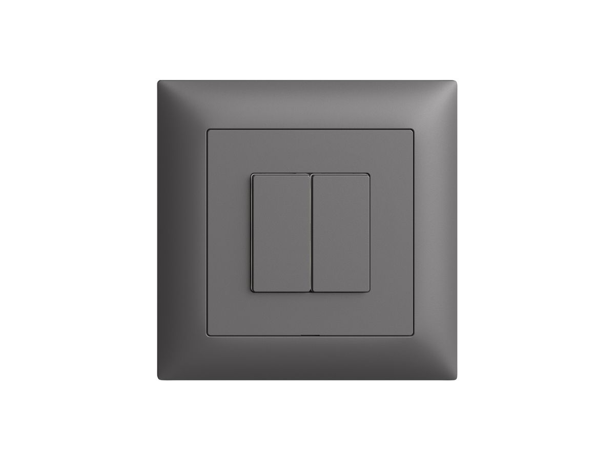 UP-Druckschalter EDIZIOdue Wiser m.Nebenstelle 2T 2B dunkelgrau