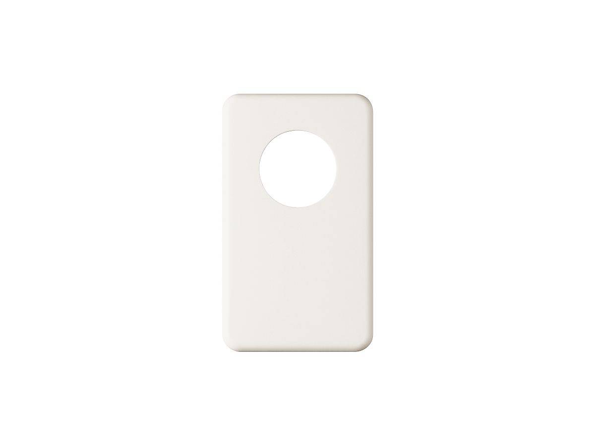 Abdeckplatte I-I 43mm+blind weiss