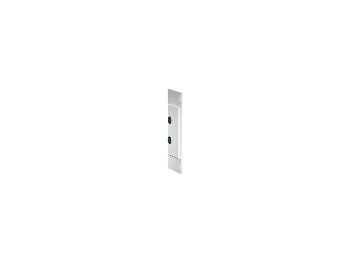 Abdeckung Rittal SV 9610.000 Kunststoff grau 2Stk