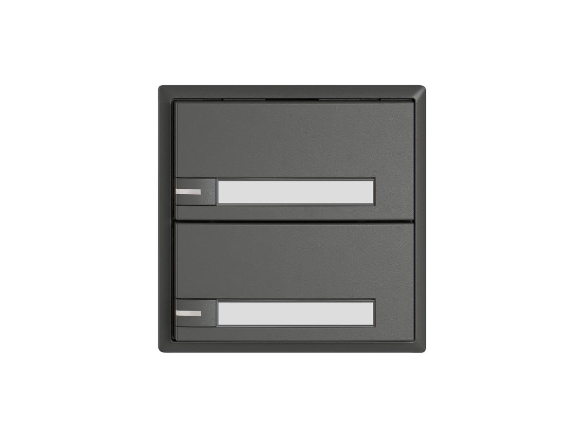 KNX-Taster RGB EDIZIO.liv SNAPFIX® Temperaturfüh.RGB-LED Pap.2×T 1-Tbed.dgu
