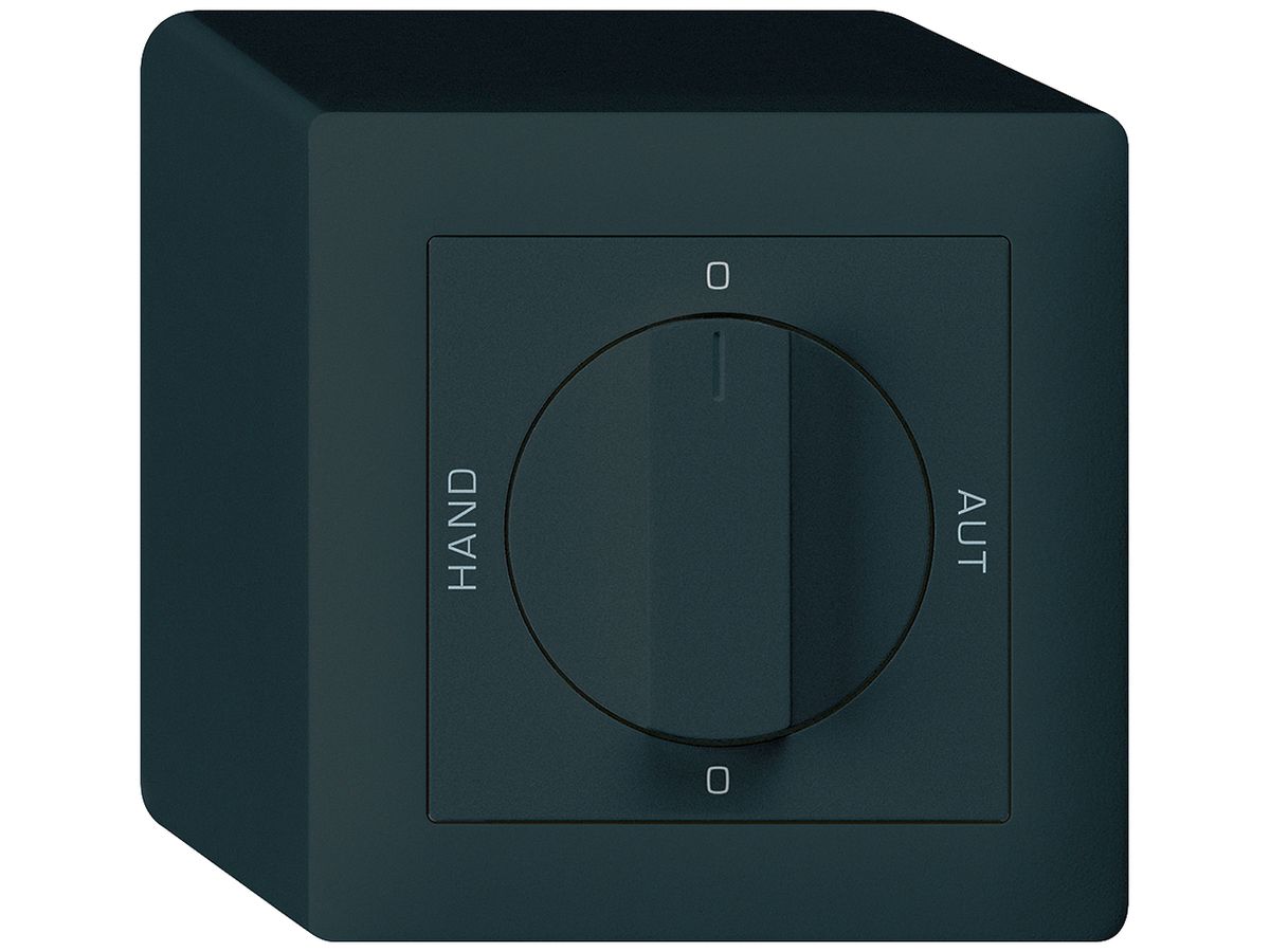 AP-Drehschalter kallysto 2/1L schwarz 0-A-0-H mit Drehgriff