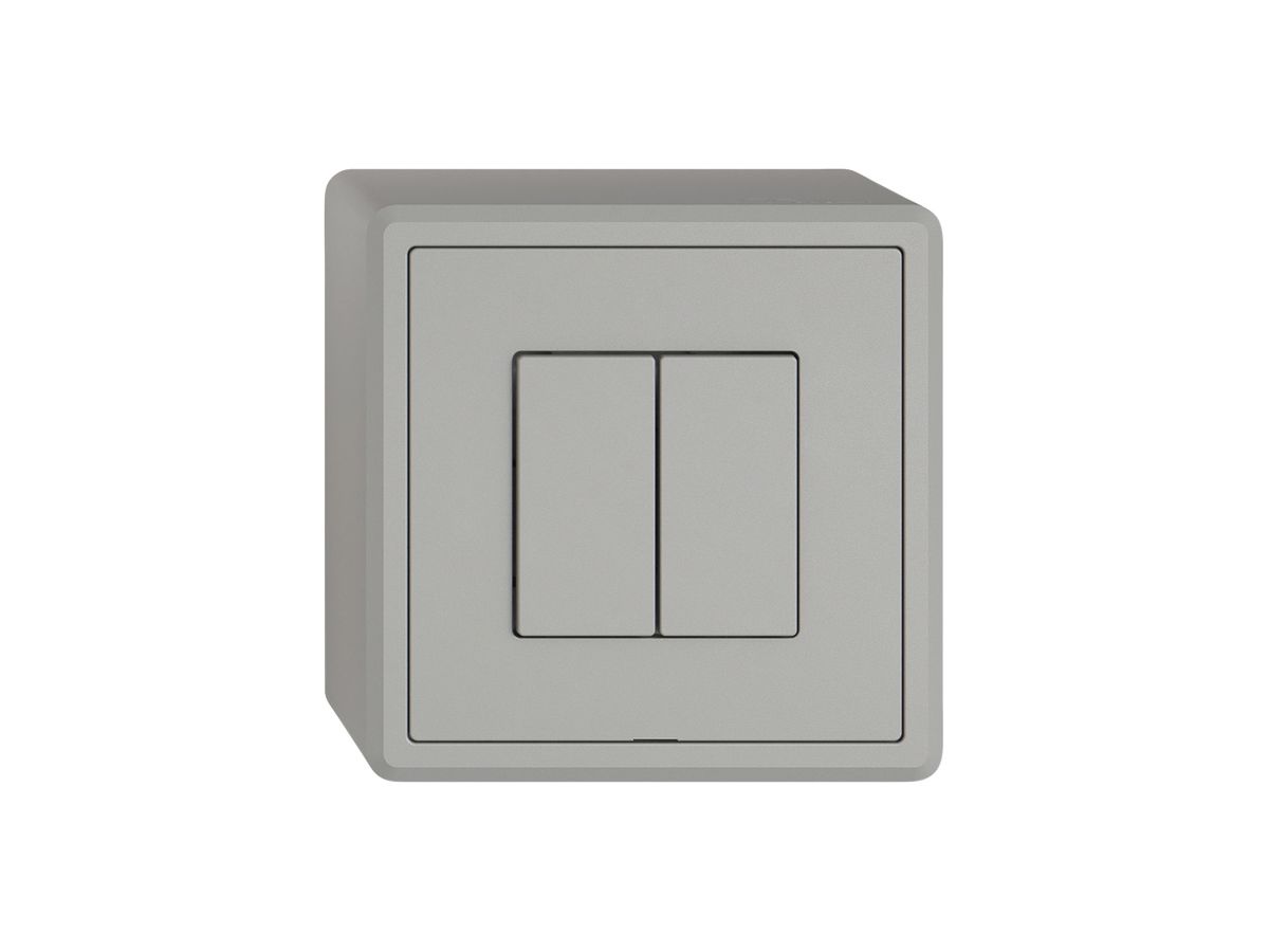 AP-Druckschalter EDIZIO.liv Wiser SNAPFIX® m.Nebenstelle 2T 2B hellgrau