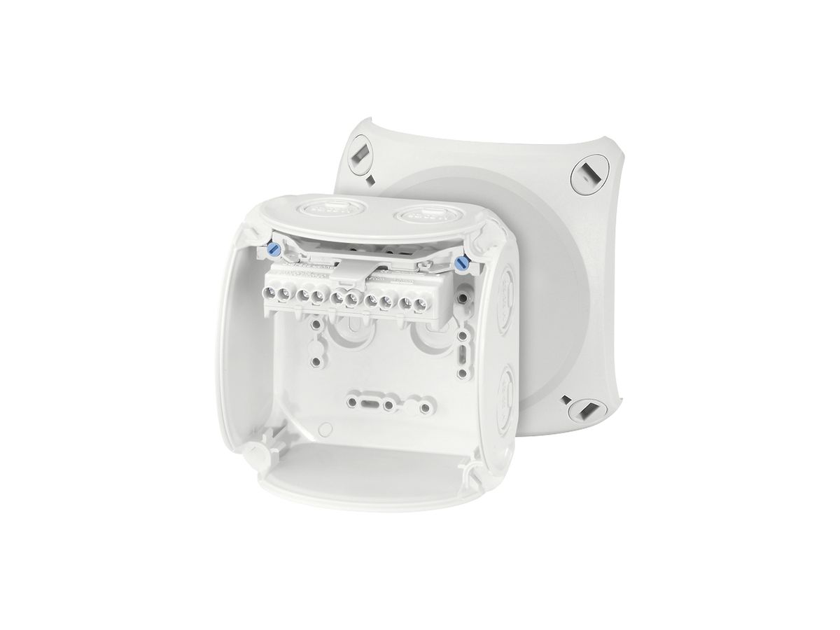 AP-Abzweigdose Hensel KF G mit Klemmen 5×4mm² grau