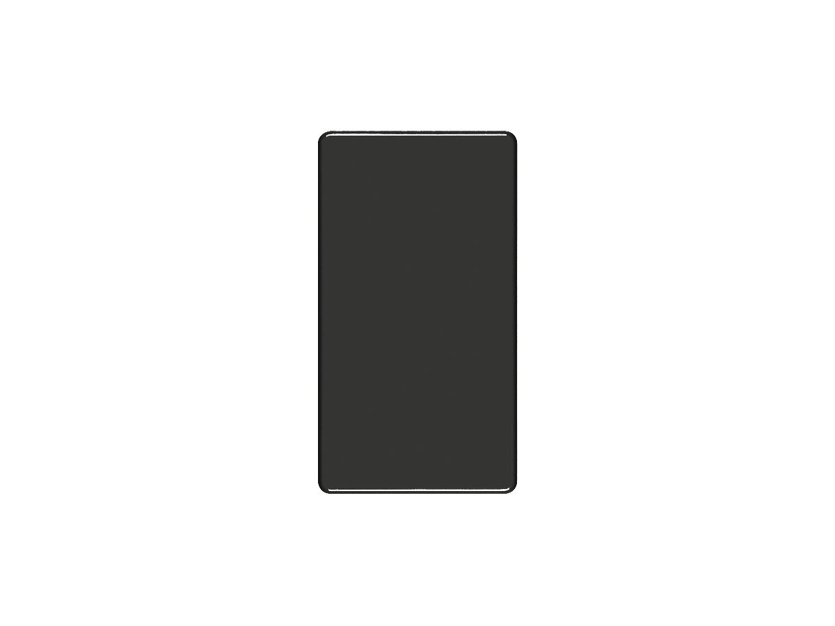 Abdeckplatte 4×2 ohne Bohrung schwarz