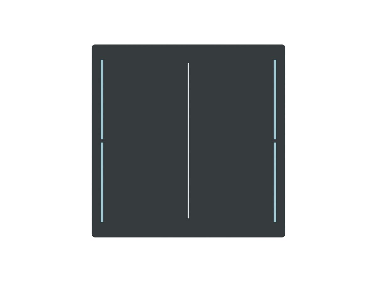 Tasterabdeckung ABB SIDUS touch 2-fach anthrazit