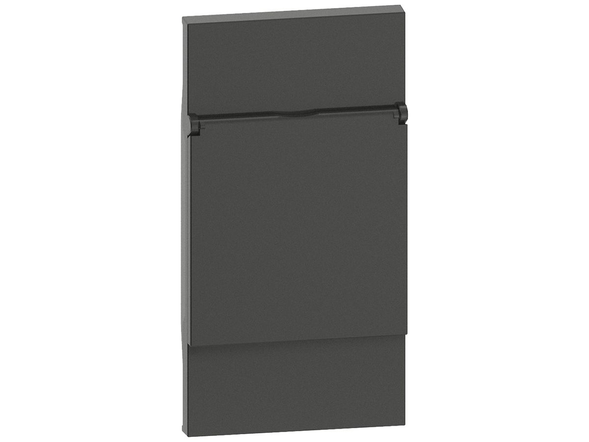Abdeckung Living Now 2 Module für Schuko/FR/BE-Steckdose mit Klappdeckel schwarz