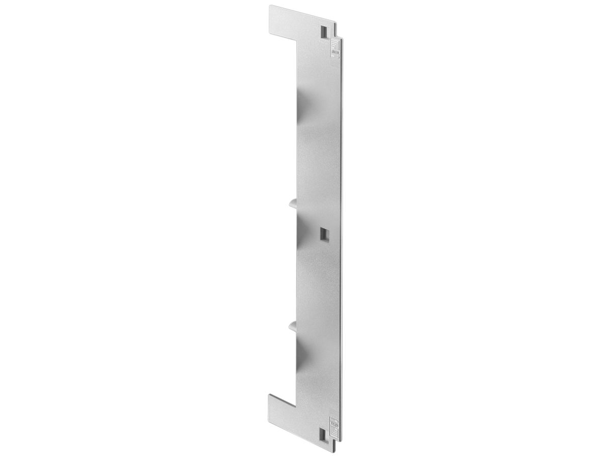 Abdeckung Rittal SV 3093.010 41×193×58mm Kunststoff grau 10Stk