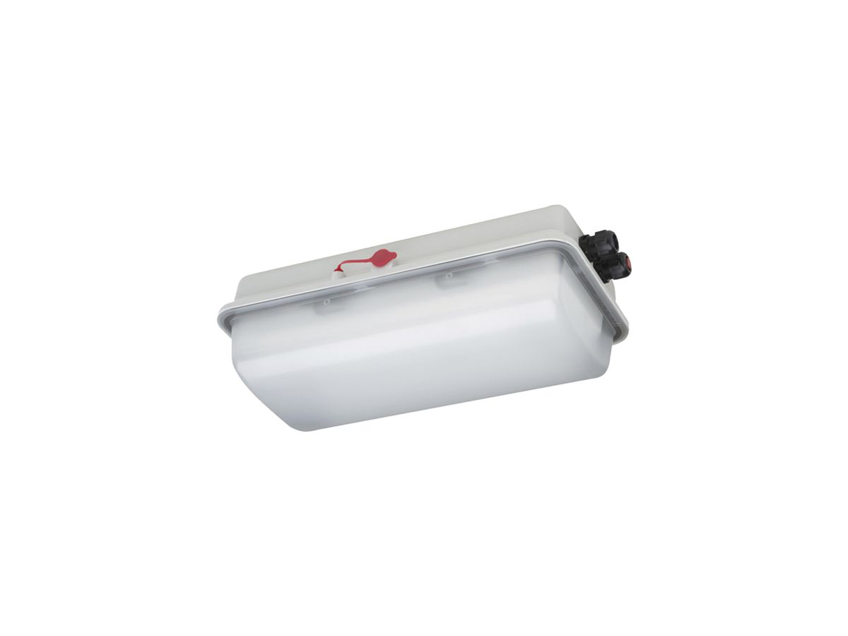 LED-Rettungszeichenleuchte Ex SCHUCH e856F L05/1/1.5 6W 510lm