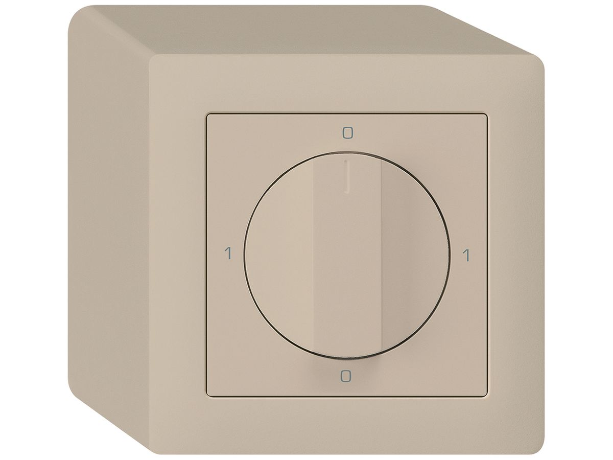 AP-Drehschalter kallysto 2/1L beige mit Drehgriff