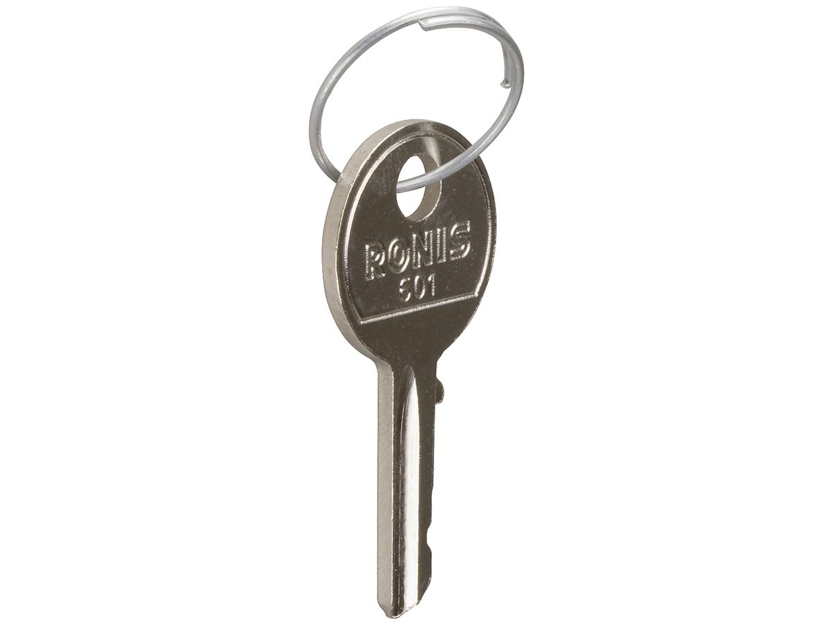 Schlüssel Hager SK001, für Schlüsselschalter SK606, 2 Stück