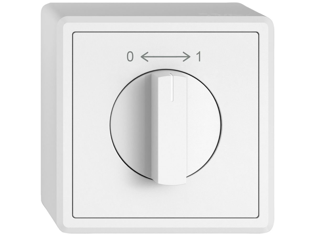 AP-Schwenktaster EDIZIO.liv SNAPFIX® 0<->1/1P mit Drehgriff ws