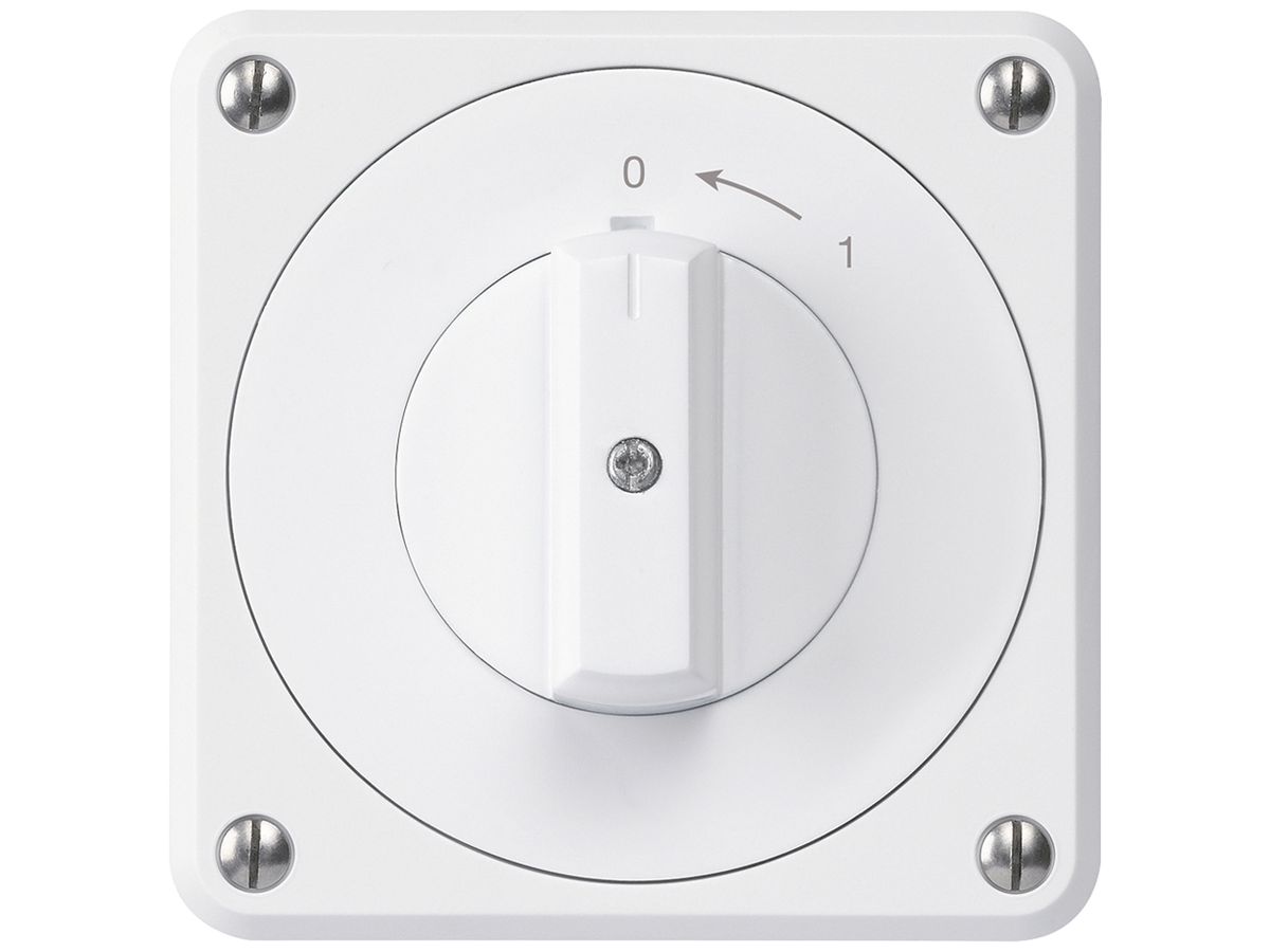 UP-Schwenktaster robusto IP55 weiss 1P