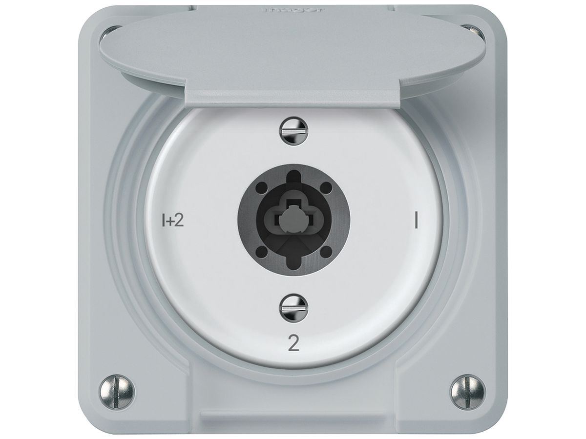 Schlüsselschalter robusto Serienschalter 16A 250V 86×86mm grau