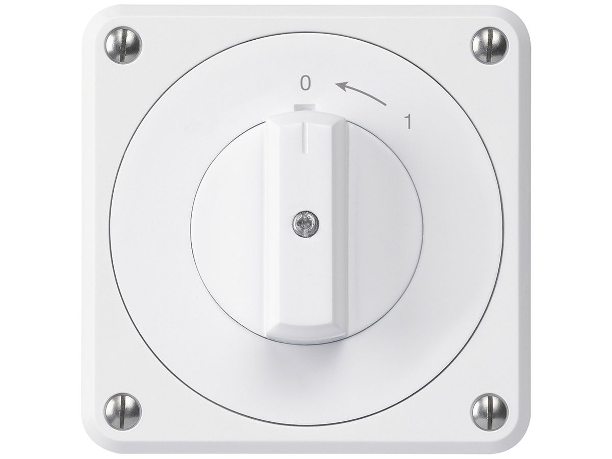 UP-Schwenktaster robusto IP55 weiss 1P für Kombination