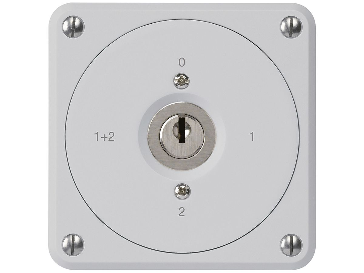 UP-Schlüsselschalter robusto ohne Klappdeckel 1/1P grau für Kombination