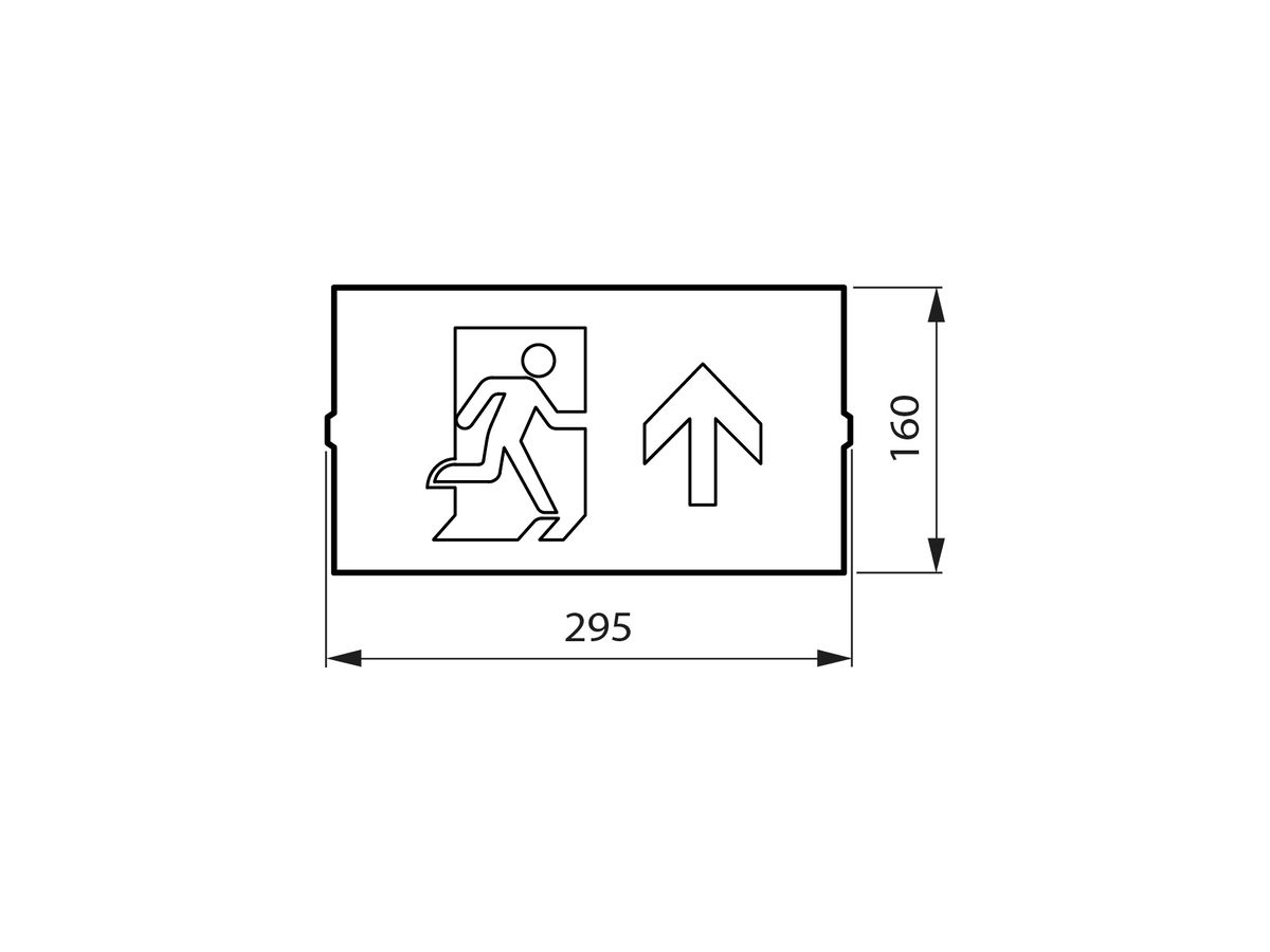 Piktogramm Philips EM155Z Ausgang nach unten Doppelseitig 314×158mm