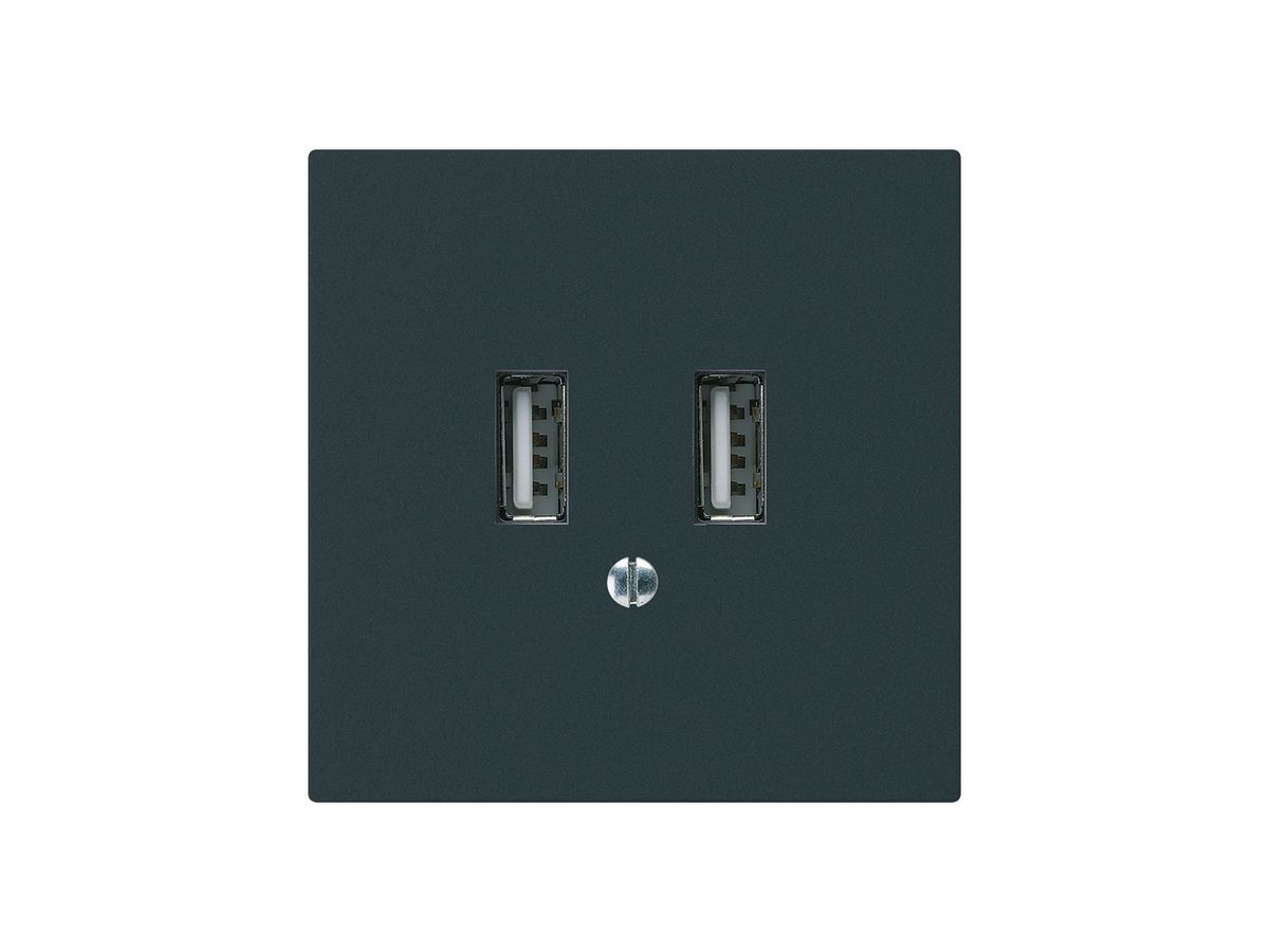 UP-USB-Ladesteckdose Hager kallysto A 240V 2400mA schwarz