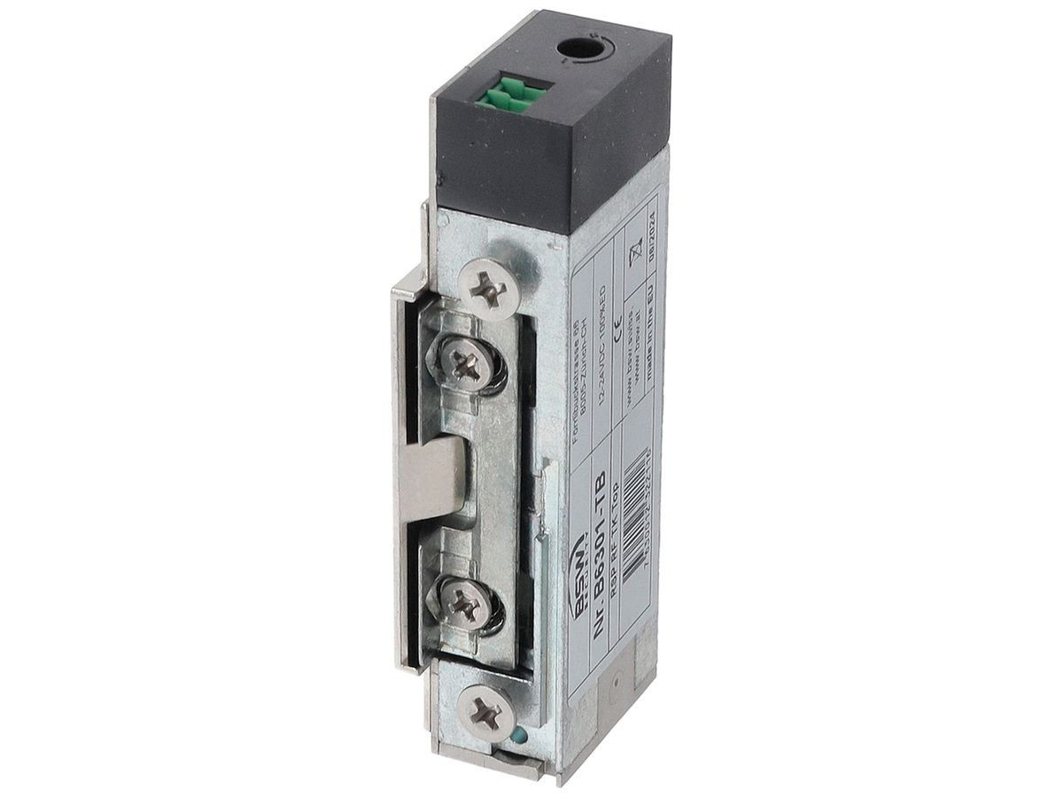 Türöffner BSW B6301-TB Ruhestrom Radiusfalle links/rechts 12…24V