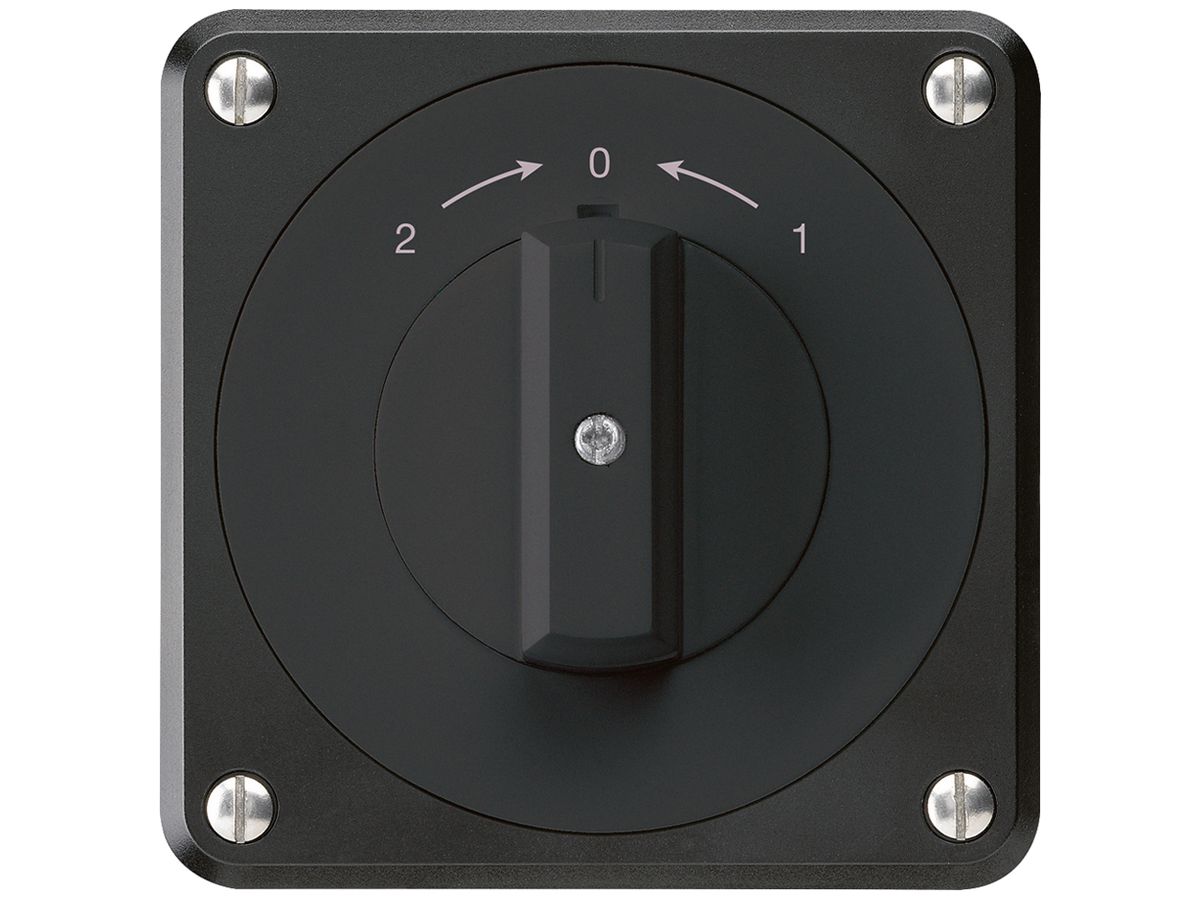 UP-Schwenktaster robusto IP55 schwarz Wechsler