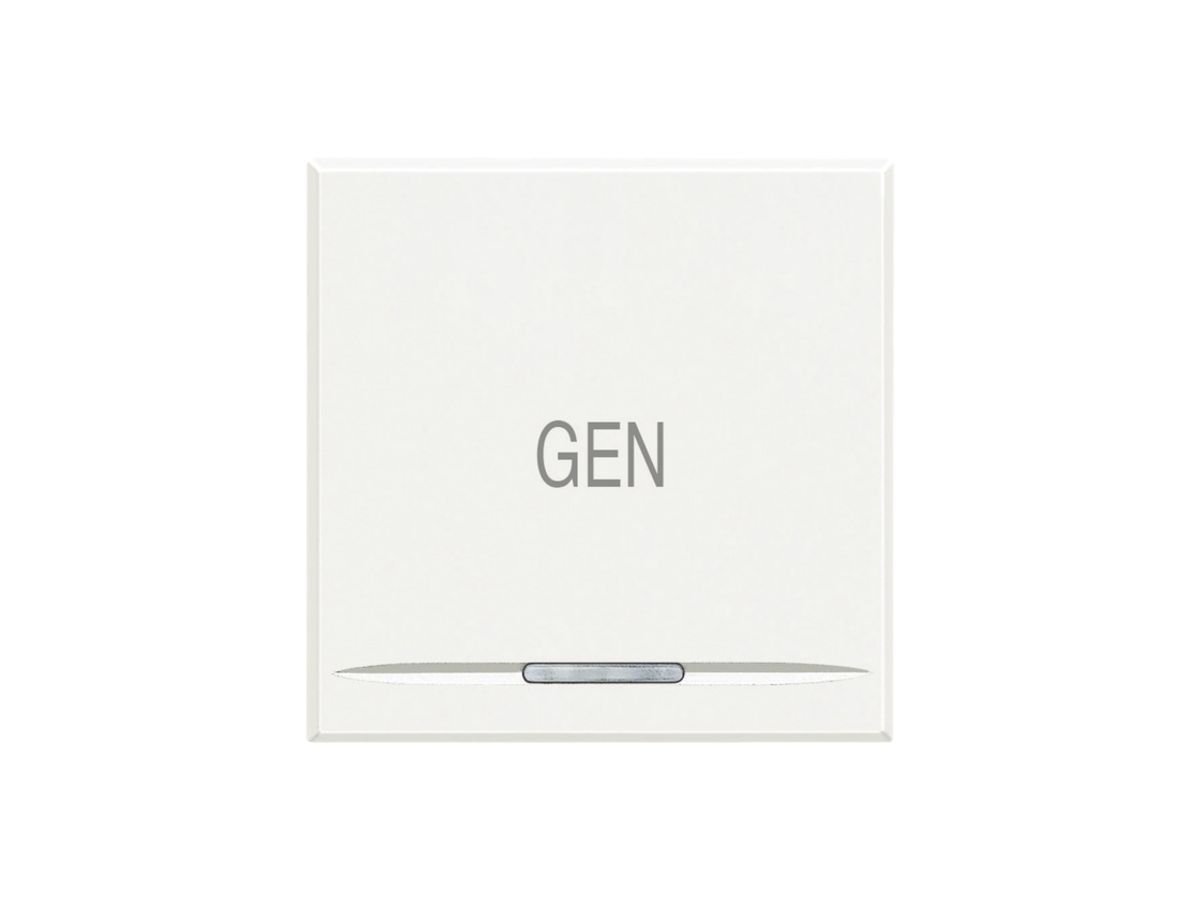 Wippe Axolute für 2 Module weiss GEN, MyHOME Axolute