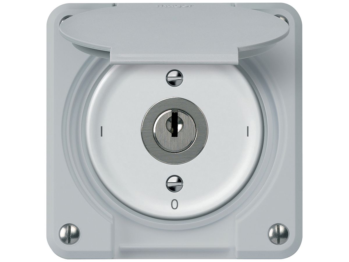 UP-Schlüsselschalter robusto Ausschalter 1-polig 16A 250V 86×86mm grau