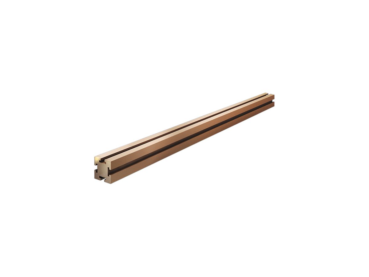 Sammelschiene Rittal SV 9659.360 Profil E-Cu 2400×60×60mm 4Stk