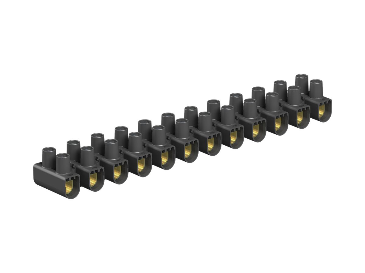 Klemmenleiste Bettermann 12P 4…10mm² 450V schwarz