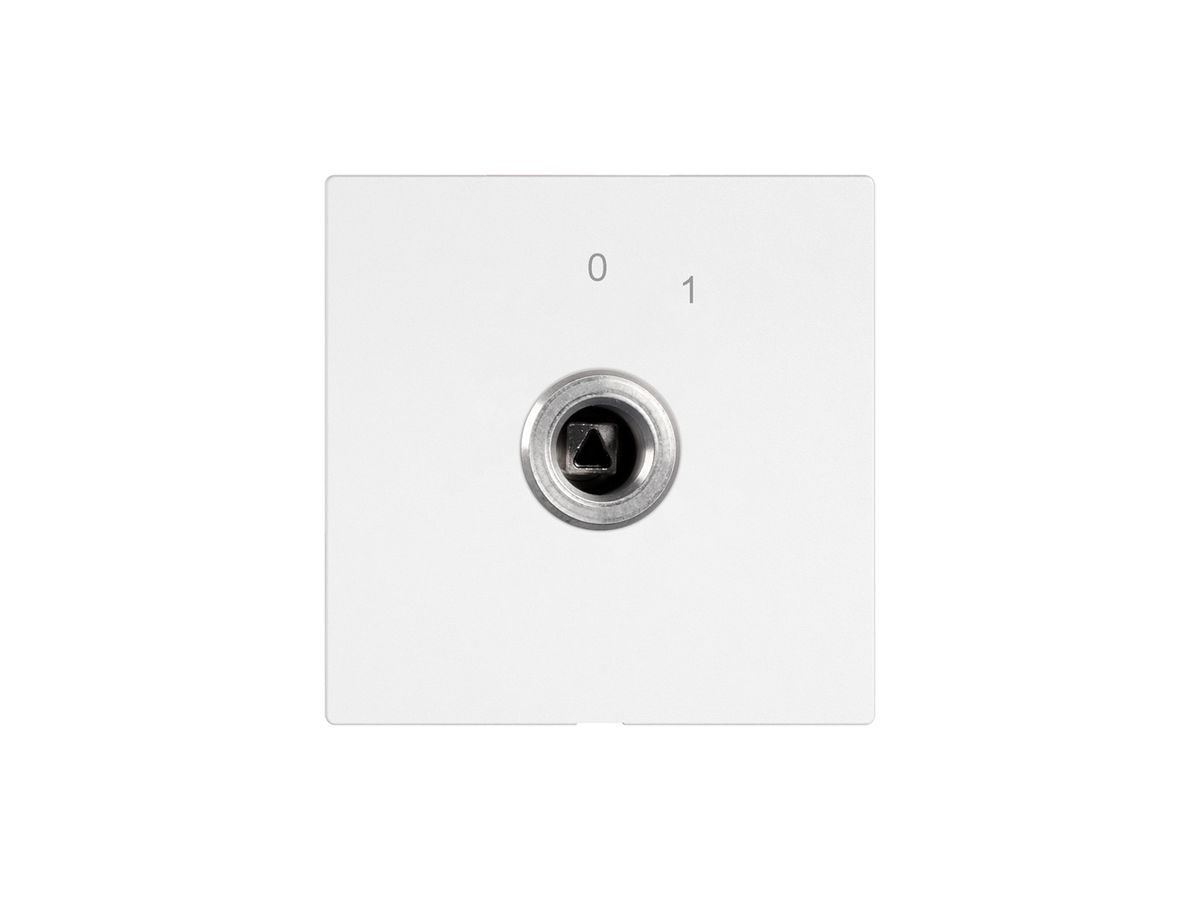 Schlüsselschalter EDIZIO.liv 1P Vierkant/Dreieck 20A 690V 0-1 ws