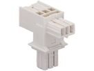 T-Verteiler WAGO 2-polig hellgrau