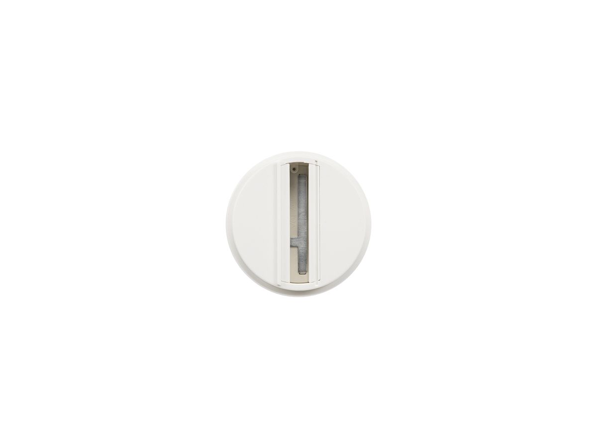 AP-Deckenrosette SG ShopLine Leuchtenanschlussadapter 3-ph weiss
