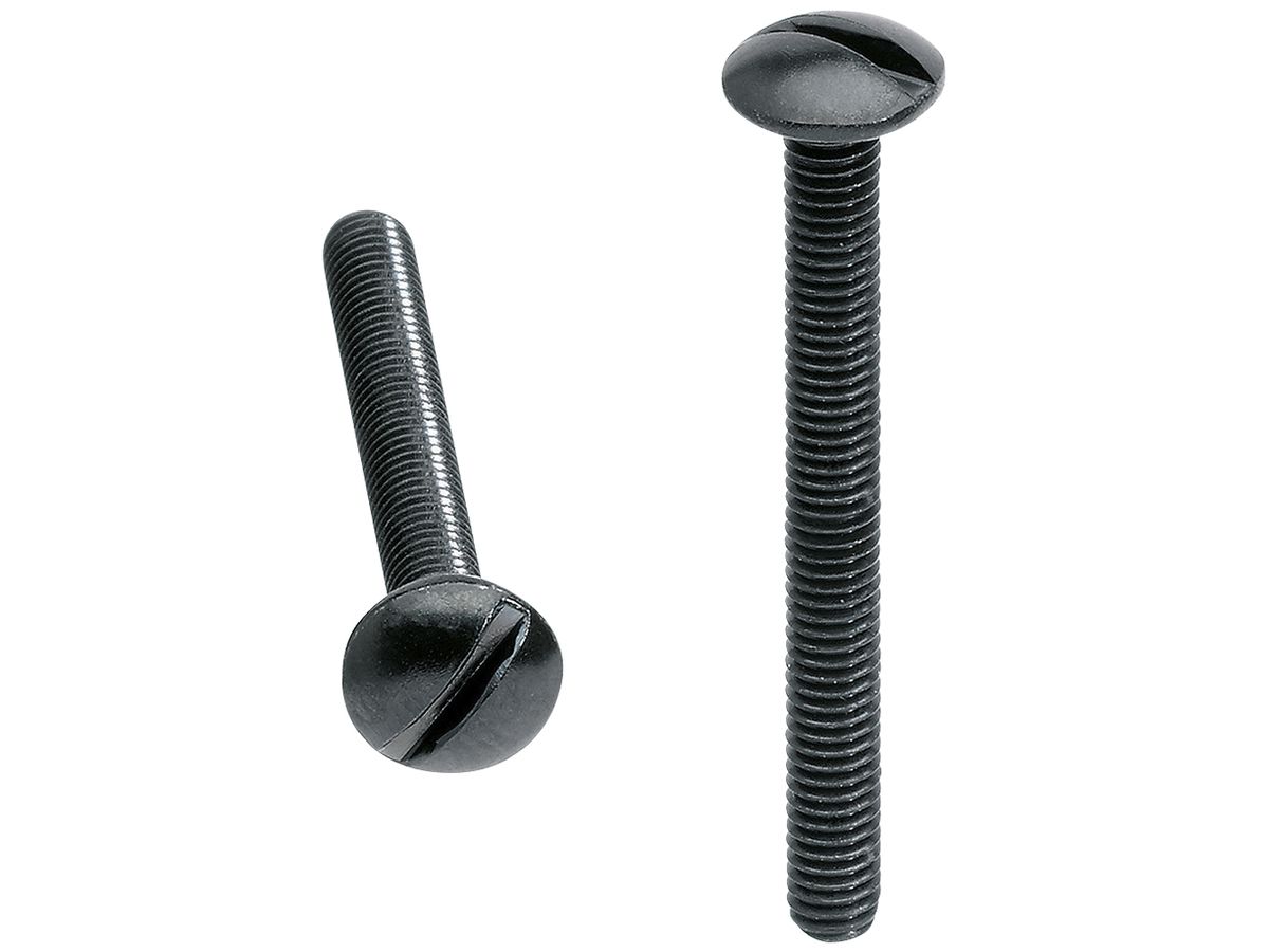 Schraube Hager für robusto IP55 26mm schwarz Set à 100 Stück