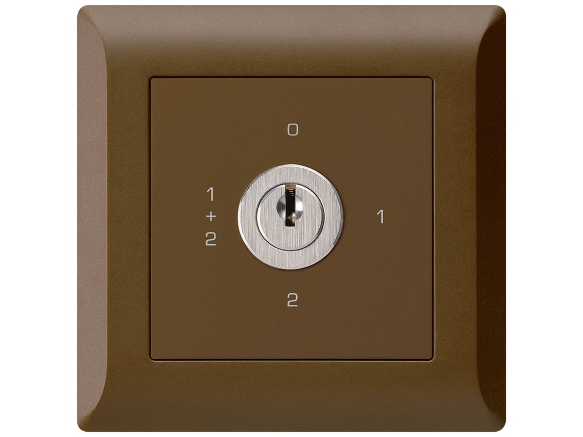 UP-Drehschalter kallysto.line 1/1L braun mit Schloss Kaba 8