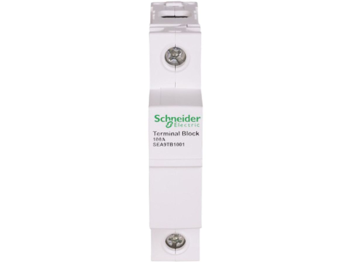 Klemmenblock Schneider Electric 1P 100A