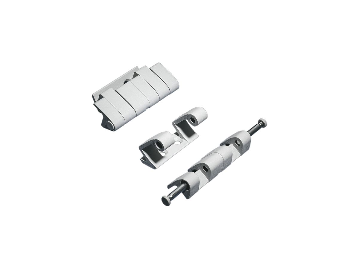 Scharnier Rittal SZ 8800.190 aussenliegend für TS/VX SE 180° 4Stk
