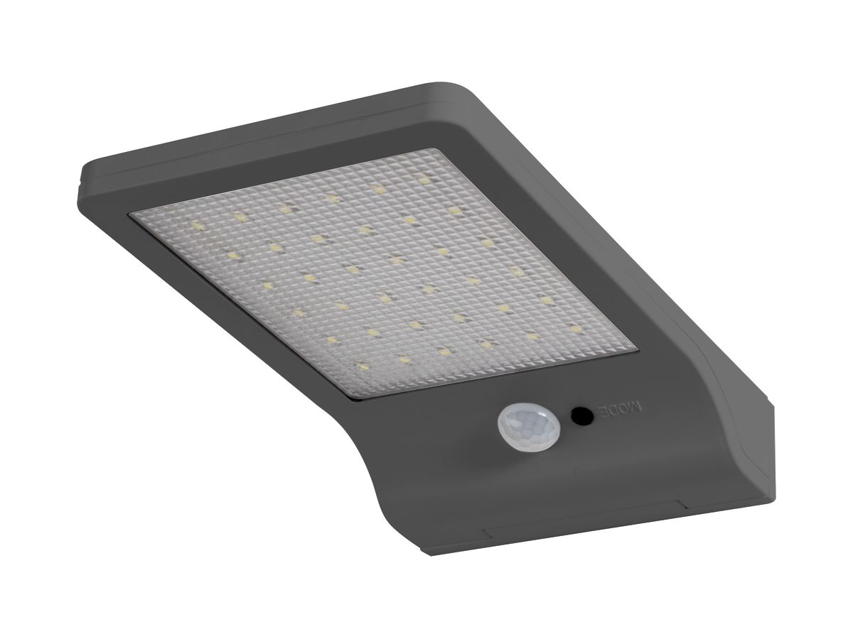 LED-Wandleuchte  LDV DoorLED Solar, PIR silber