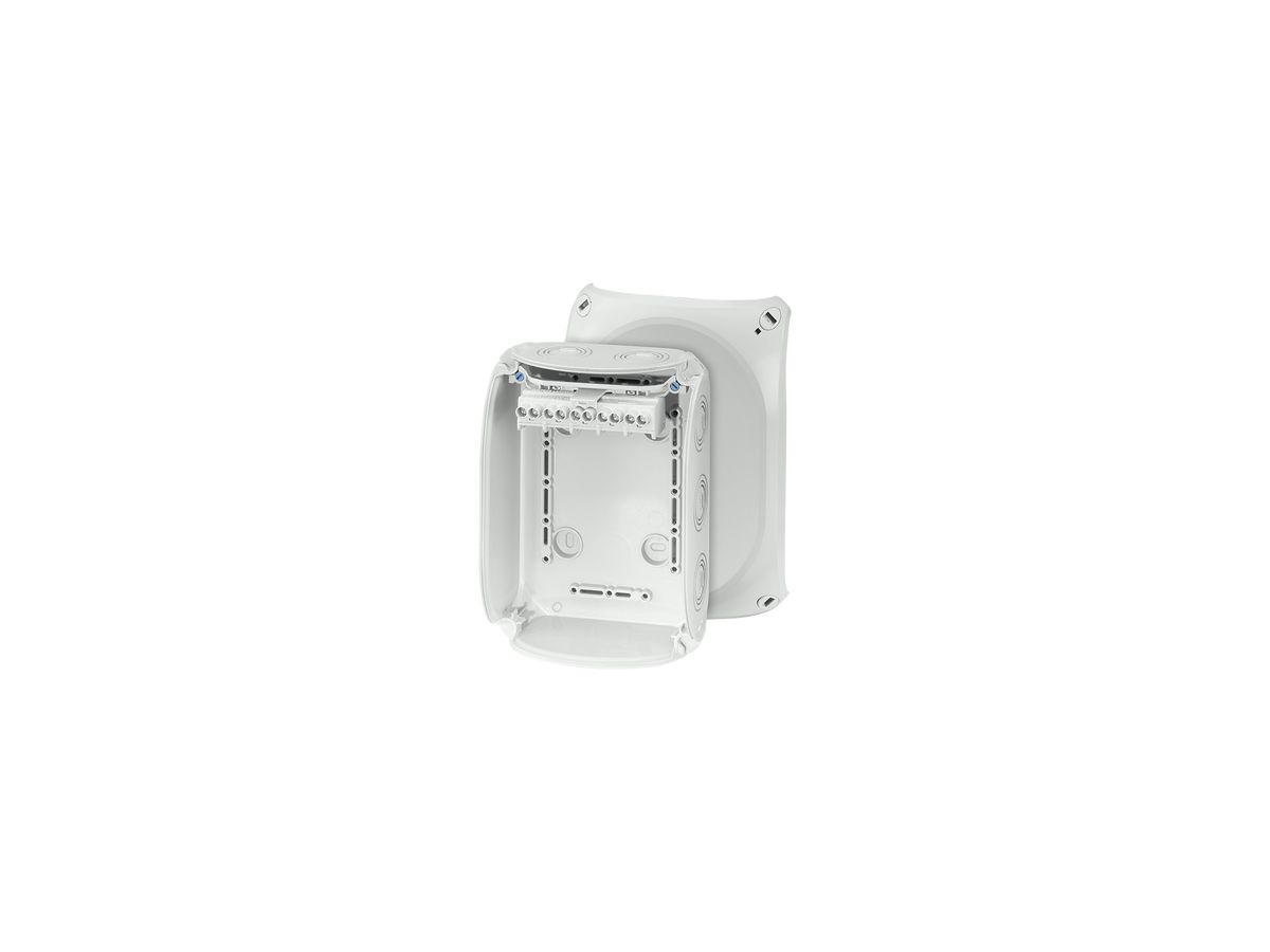 AP-Abzweigdose Hensel KF G mit Klemmen 5×6mm² grau