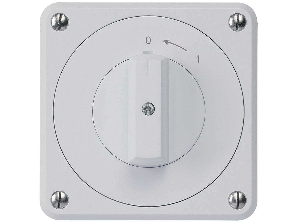 UP-Schwenktaster robusto IP55 grau 2P