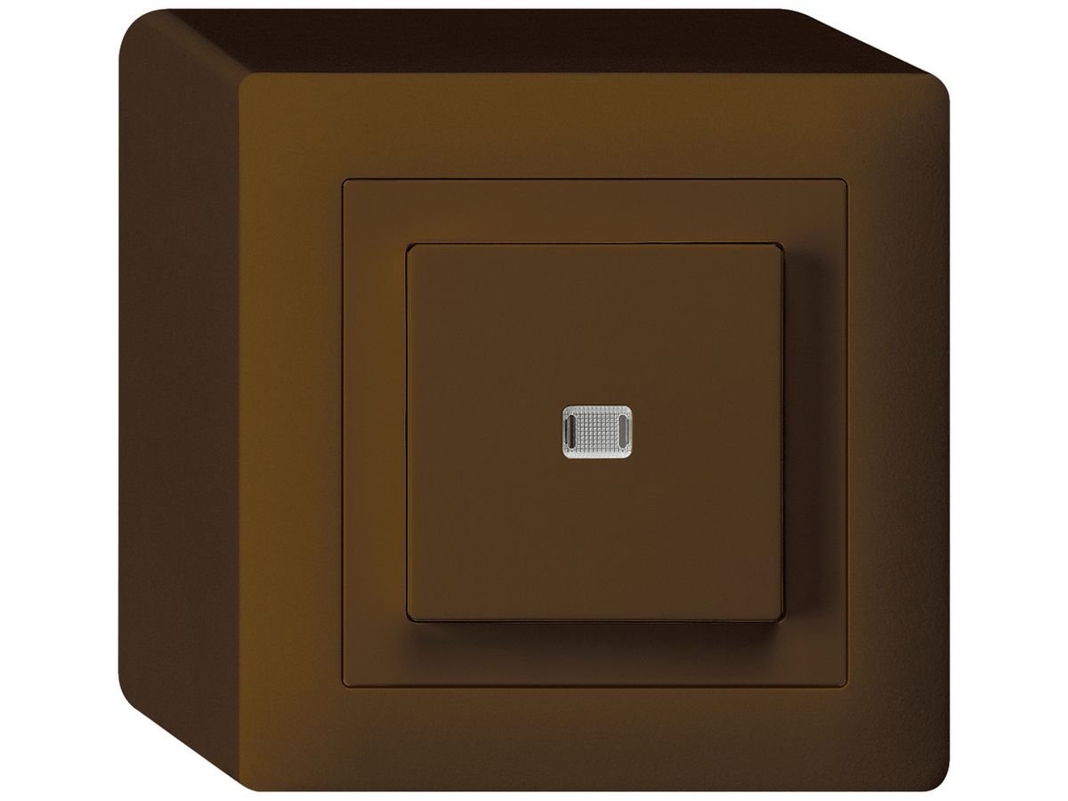 AP-Leuchtdruckschalter kallysto 3/1L braun