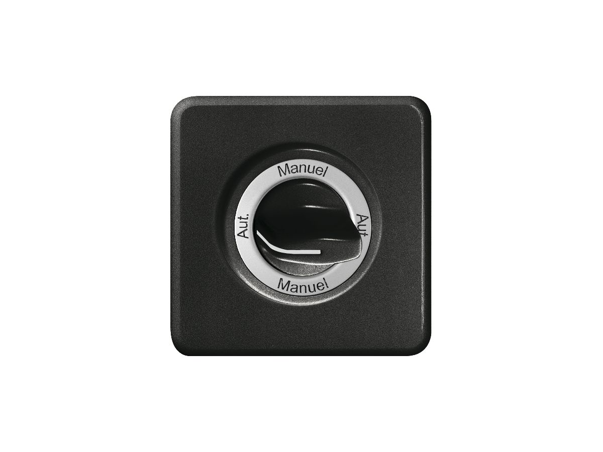 Frontset Auto-Main-Auto-Main für Drehschalter schwarz FH