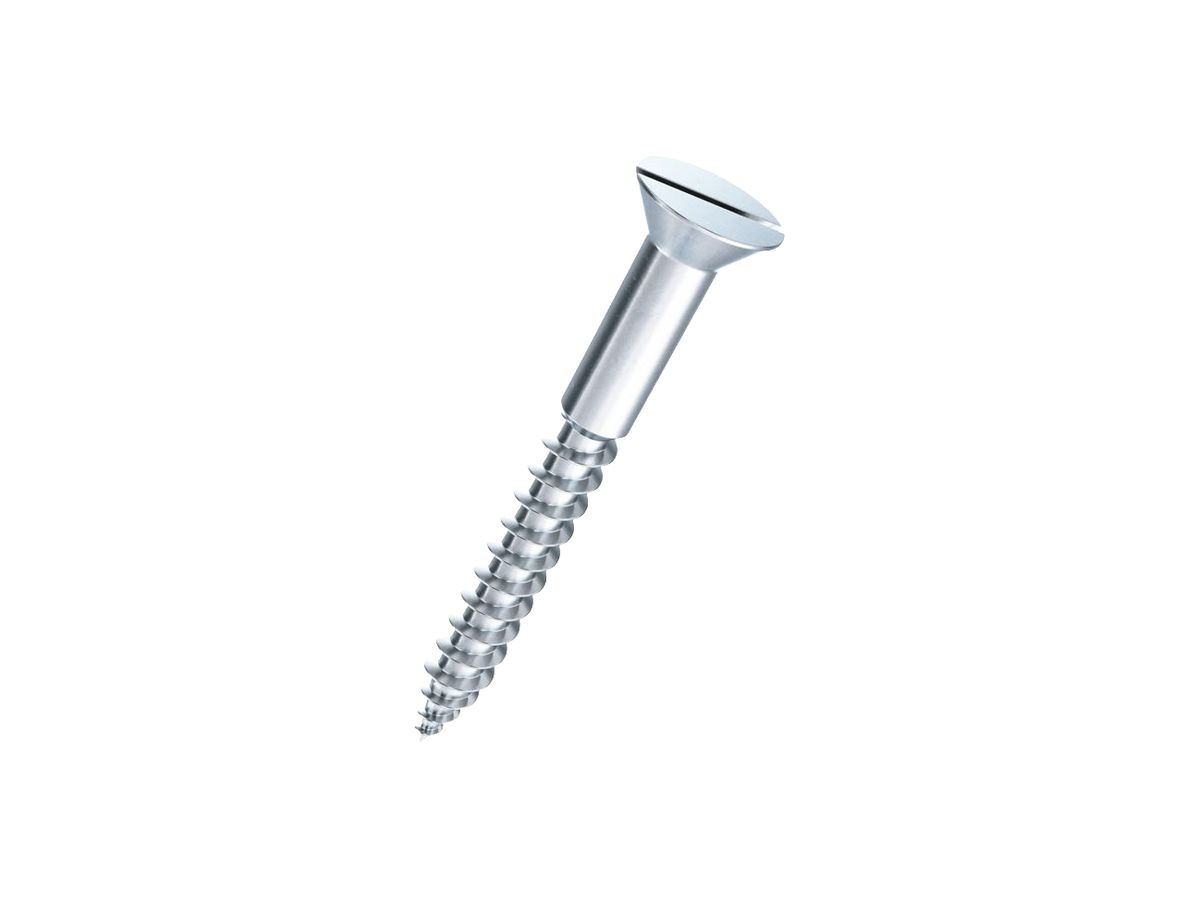 Holzschraube FERRONORM Schlitz Ø1.6×10mm Stahl verzinkt