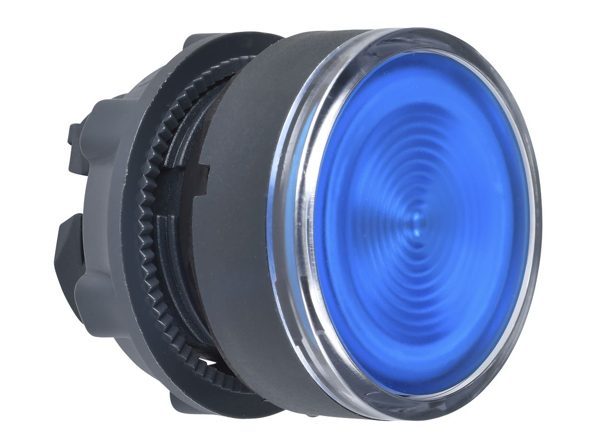 Taster Schneider Electric flach blau